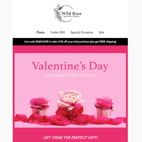 Valentine's Day Pink White Florist Sale